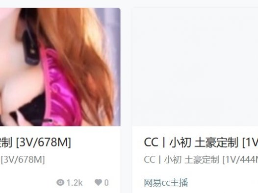 网易cc小初高级定制,至尊版私人订制收费舞蹈视频