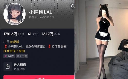 小辣椒Lal—微密图片视频合集