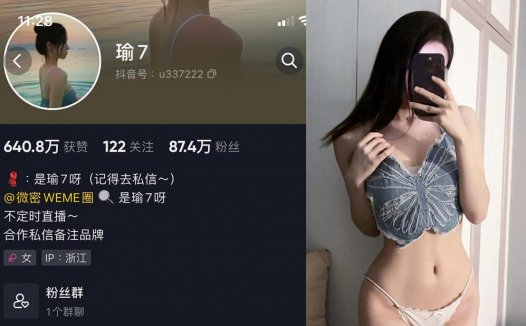 是瑜7呀—微密图片视频合集