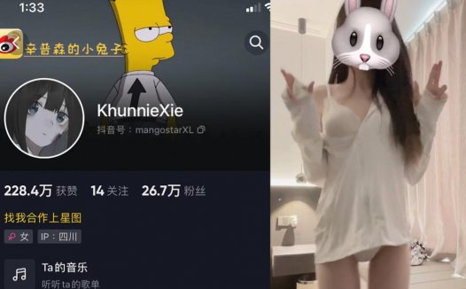 khunniexie/辛普森的兔子/谢坤妮—微密图片录视频合集