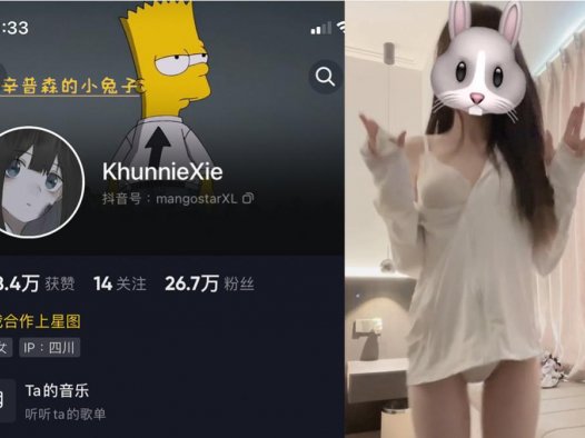 khunniexie/辛普森的兔子/谢坤妮—微密图片录视频合集